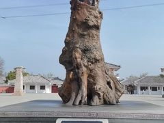 -许慎文化园
