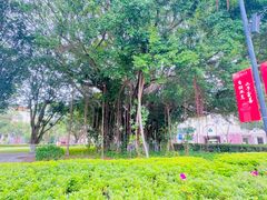 -厦门大学(思明校区)