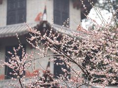 -成都杜甫草堂博物馆