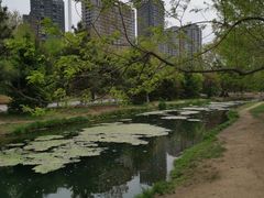 -长白岛森林公园