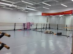 -中央芭蕾舞团·中芭艺蕾(酒仙桥明星校区)