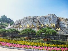 -北京西山国家森林公园