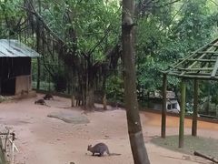 -广东茂名森林公园