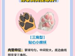 -翊宠yipet猫狗购宠庄园