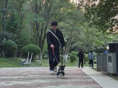 -莫子山公园