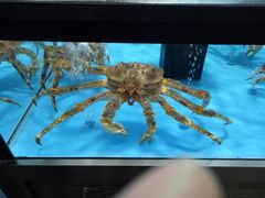 -麦德龙(郑东店)