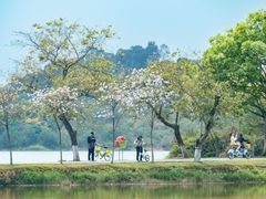 -松山湖风景区松湖烟雨
