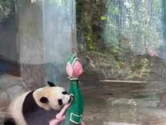 -海南热带野生动植物园