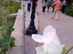 -石家庄市植物园
