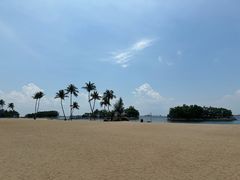 -Co+Nut+Ink(圣淘沙店)