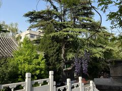 -北京积水潭医院-停车场