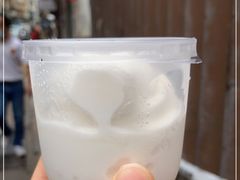 -洪馨椰子