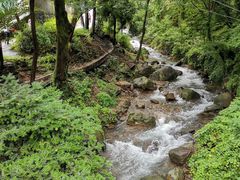-WILDS 野有食(碧坞店)