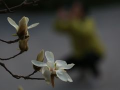 -碑林公园