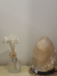 -DEM缔怡美科技美容