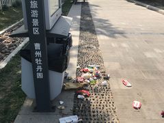 -曹州牡丹园