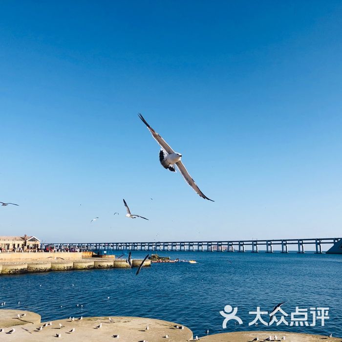 大连星海湾海水浴场图片