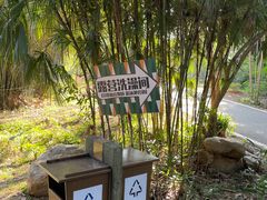 -南宁良凤江国家森林公园