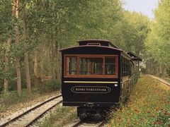 -合肥滨湖国家森林公园