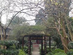 -峨眉山报国寺