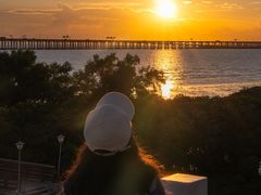 -宝安西湾红树林湿地公园