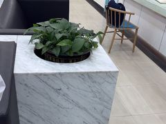 -上海仁爱医院
