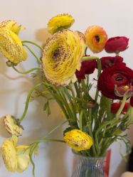 -苑苑vbeauty科技美容SPA