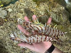 -醉壹号海鲜大排档(厦门美食地标店)