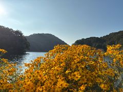 -广州市石门国家森林公园