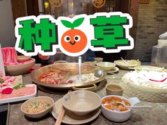 -小龙坎火锅(湖滨银泰in77店)