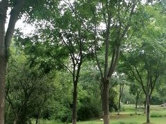 -盘龙城国家考古遗址公园