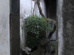 -留园
