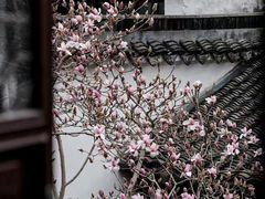 -阳澄湖半岛旅游度假区