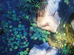 -长春世界雕塑园冰雪艺术天地