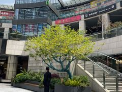 -浦江城市生活广场(江月路店)