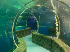 -北海·海洋之窗