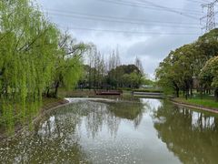 -高东镇樱花园
