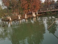 -海珠湖公园