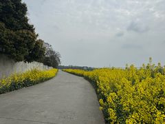 -郫都区农科村景区