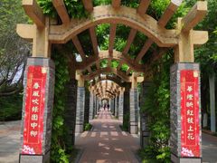 -宝鸡植物园