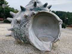 -柱状节理带
