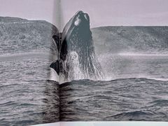 -二酉书店TOYOU BOOKS