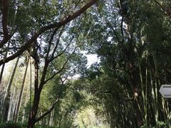 -苏州河梦清园环保主题公园