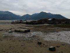 -北岐滩涂