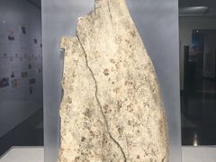-北京大学赛克勒考古与艺术博物馆