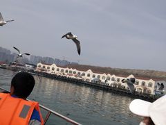 -拓恩帆船俱乐部