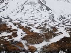 -祁连山·岗什卡雪峰景区