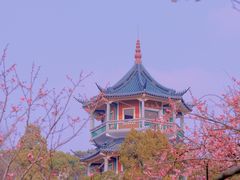 -无锡梅园公园