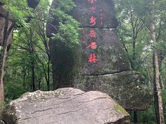 -汤旺河林海奇石景区