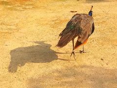 -杭州野生动物世界